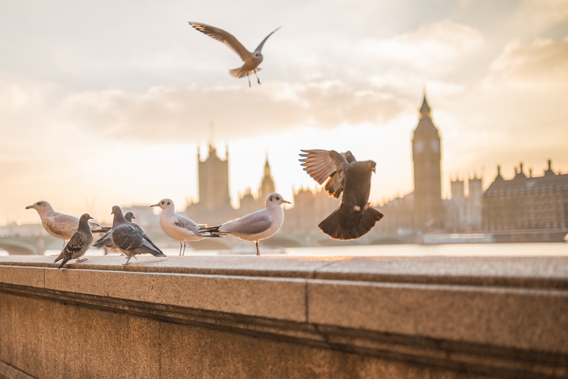 Visiting London